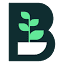 Bloomrank logo