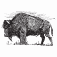 Gidds Media logo