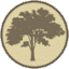 Golden Oak Web Design logo