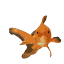 Goldfish SEO logo