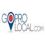 Go Pro Local Internet Marketing logo