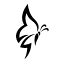 Graceful Web Studio logo