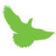 Green Bird Media logo
