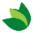 Green Lotus SEO Agency logo