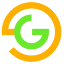Green Orange LLC logo