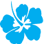 Hawaii Media Group logo