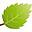 Hawaii Web Design Studio logo