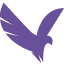 Hawkworx Digital logo