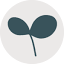 Sprout Marketing & Design logo