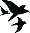 The Blackbird Agency logo