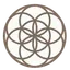 Holistic Web Design logo