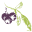 Huckleberry Branding logo