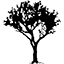 Hush Park logo