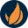 Ignite Search logo