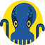 JetOctopus logo