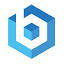 Burris Creative Inc. logo