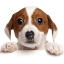 Keybridge Web logo