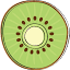 Kiwi Media Solutions logo