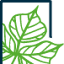 Kudzu Brands logo