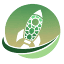 Launch Turtle logo