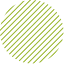 Lemon Pulse logo