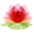 Lily Pad PR logo