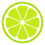 Limelight Marketing Systems logo