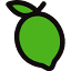 Lime Virtual Studio logo