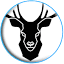 Local Marketing Guru logo