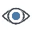 Local Visibility logo