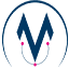 MakeOlix Consulting logo