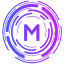 Mask Info Systems logo
