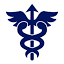 MINA Medical Marketing logo