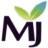 MJ Web Studio LTD logo