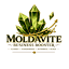 Moldavite Business Booster logo
