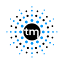 Team Moore LLC logo