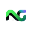 N1GEO logo