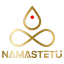 Namastetu Technologies Pvt. Ltd. logo