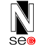 Naples SEO Company logo