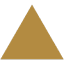 Needle Movement logo
