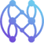 Netplanet Digital PTY LTD logo