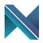 Netspinne logo