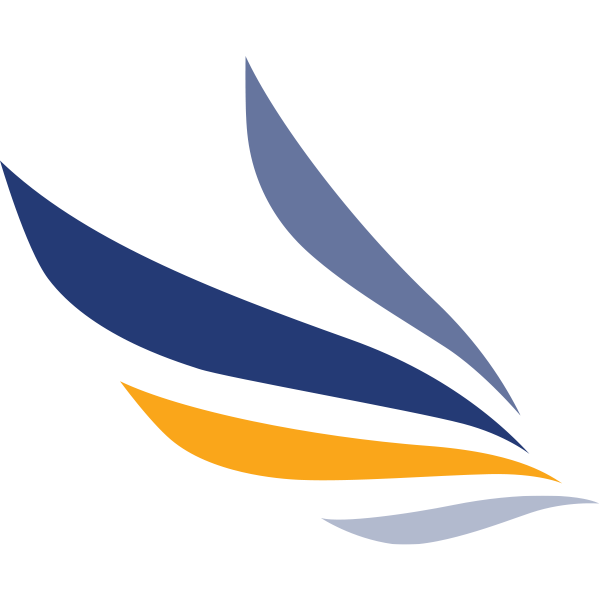 NetStrategies DC logo
