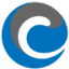 NetViper Interactive Inc. logo
