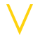 Net Vision logo