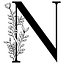 Nova & More logo