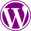 NOYO Web Development logo
