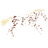 Appaloosa Marketing logo
