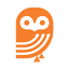 Orange Owl Marketing logo