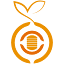 Orange Soft BD logo